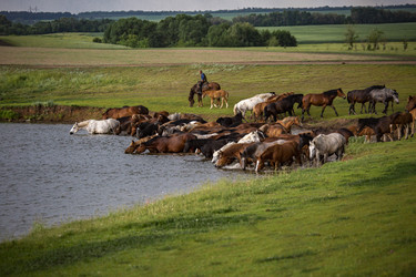 Similar image 22175926