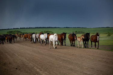 Similar image 22175927