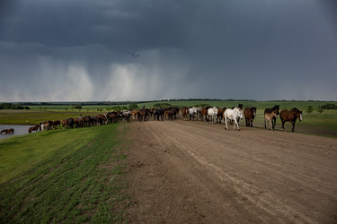 Similar image 22175928