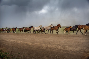 Similar image 22175930