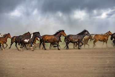 Similar image 22175931