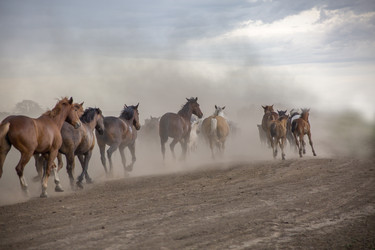 Similar image 22175932