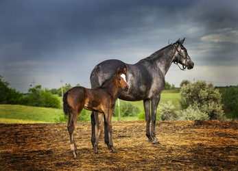 Similar image 22175933