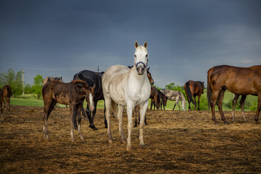 Similar image 22175934