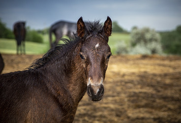 Similar image 22175935