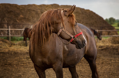 Similar image 22175938