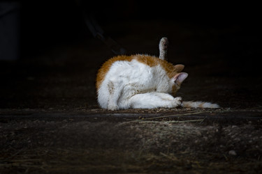 Similar image 22175940