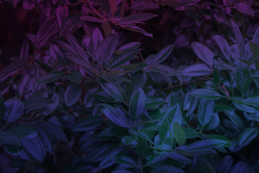 Similar image 22176465