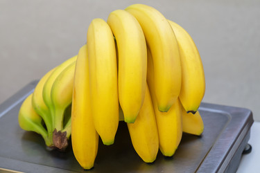 Similar image 22176468