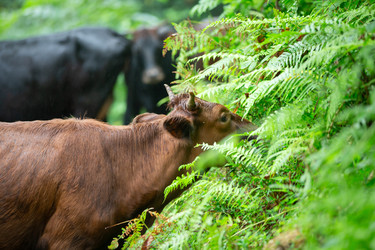 Similar image 22176470