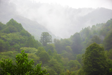 Similar image 22176472