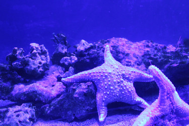 Similar image 22181284