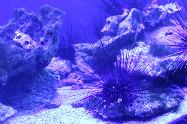 Similar image 22181285