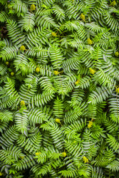 Similar image 22172104