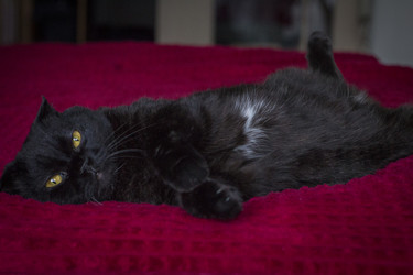 Similar image 22172106