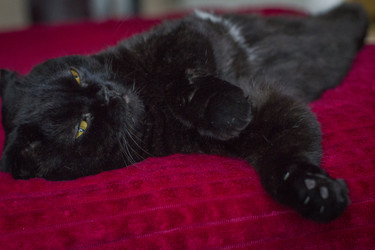 Similar image 22172107