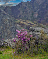 Similar image 22172636