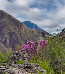 Similar image 22172638