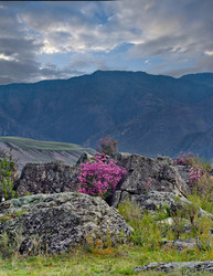 Similar image 22172639