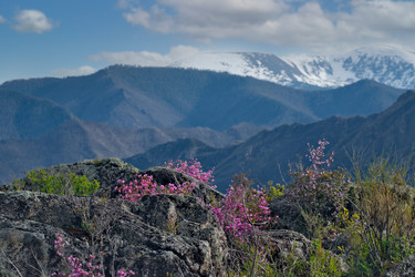 Similar image 22172640