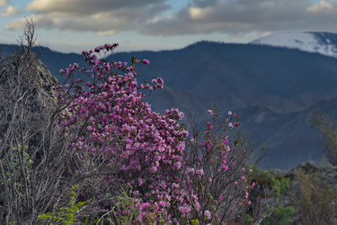 Similar image 22172641