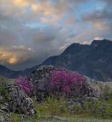 Similar image 22172642