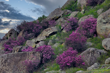 Similar image 22172643