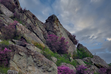 Similar image 22172644