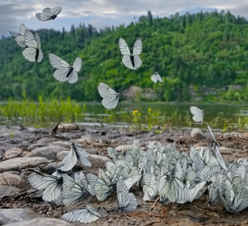 Similar image 22172645