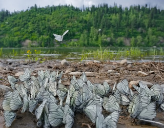 Similar image 22172647