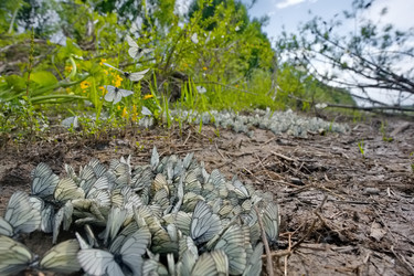 Similar image 22172648