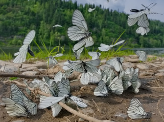 Similar image 22172775