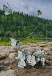 Similar image 22172776