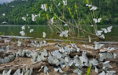 Similar image 22172777