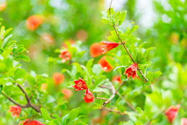 Similar image 22178230