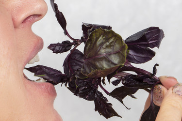 Similar image 22176495