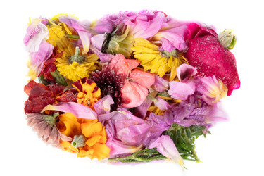 Similar image 22176501