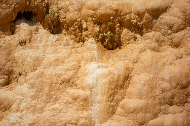 Similar image 22176508