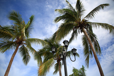 Similar image 22192885