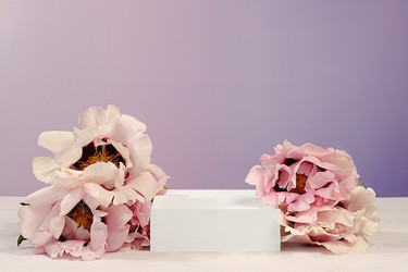 Similar image 22174798