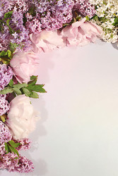 Similar image 22174805