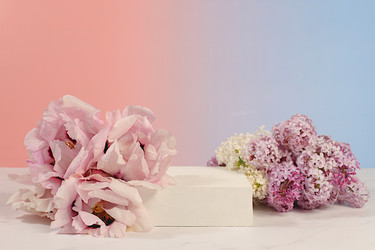 Similar image 22174808