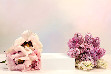 Similar image 22174809