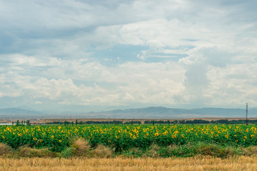 Similar image 22177699