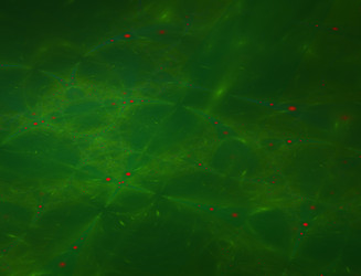 Similar image 22176751