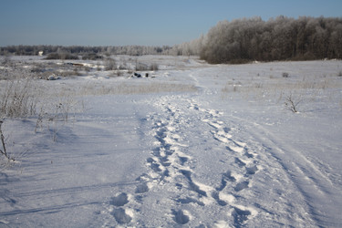 Similar image 22172652