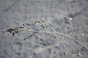 Similar image 22172654