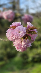 Similar image 22172614