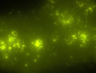 Similar image 22176666