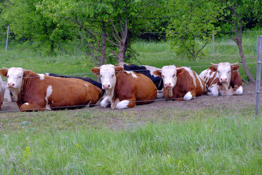 Similar image 22174012